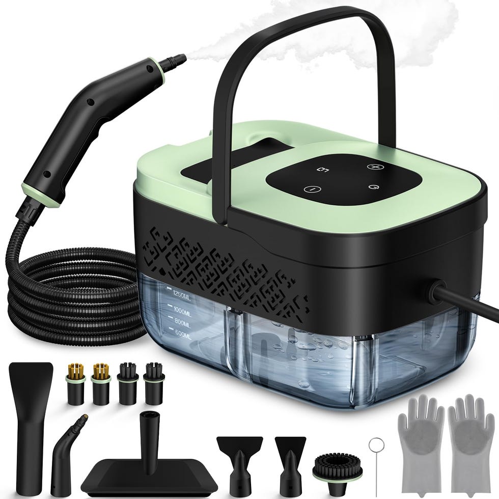 Limpiador a vapor portátil de mano