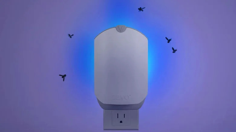 Deshazte de las hormigas voladoras de tu hogar con una mejor solución de Amazon