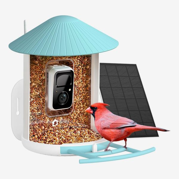 Comedero inteligente NETVUE by Birdfy con cámara