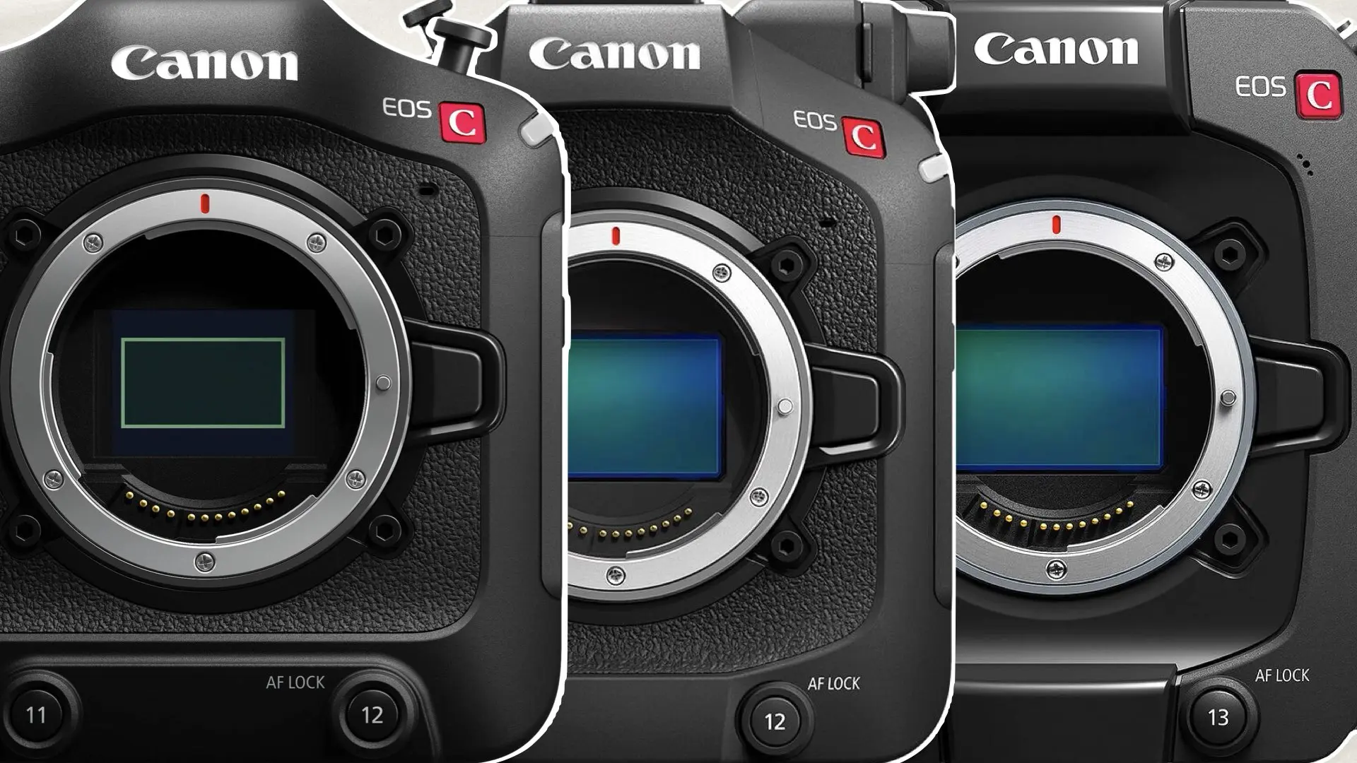 Canon EOS C70, EOS C80 y EOS C400: ¿Qué cámara de cine se adapta a tu estilo de disparo?
